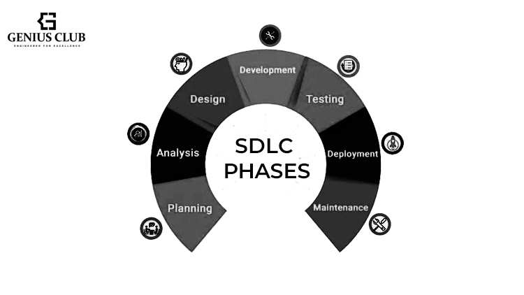 Software Development Life Cycle phases
