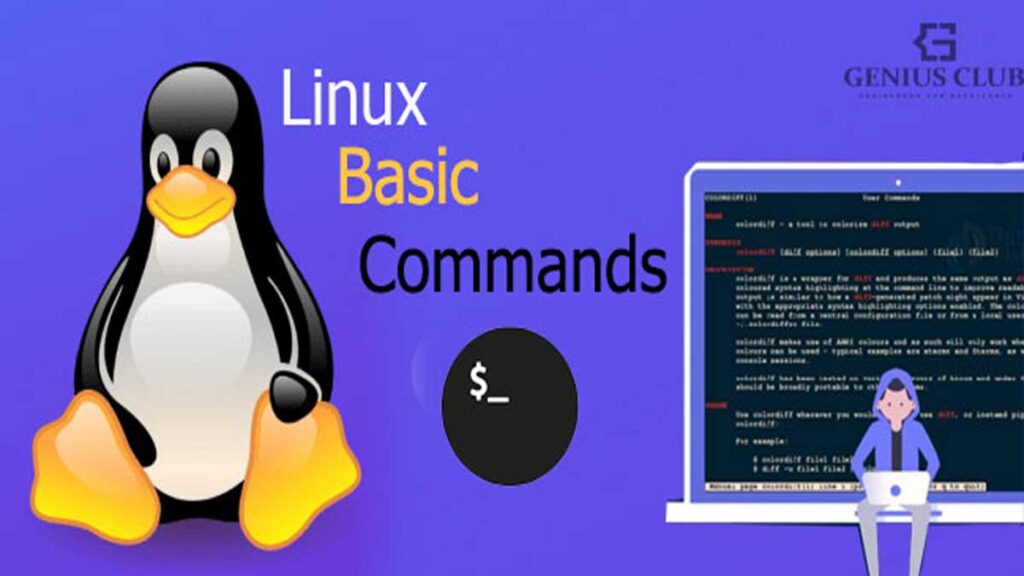 basics Linux commands for beginners
