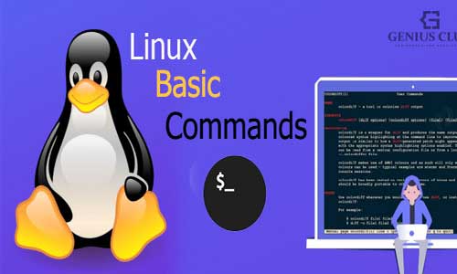 Basic-Linux-Commands-for-beginners