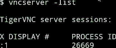 check if vncserver is running